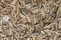 biomass boilers Buchany