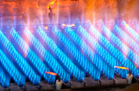 Buchany gas fired boilers